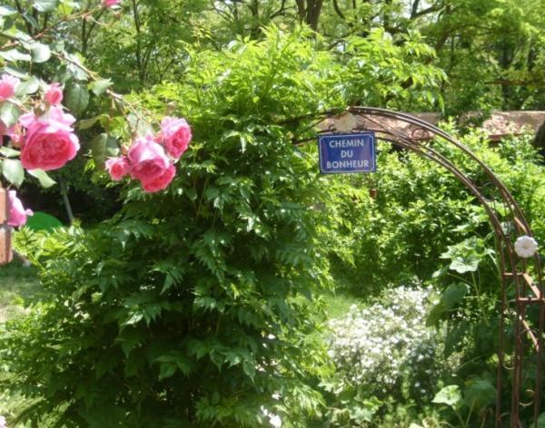 La Chambre D'Hote Au Gre Du Temps Montlaur  ภายนอก รูปภาพ